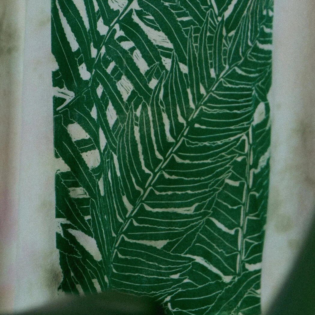 Fern Fern
